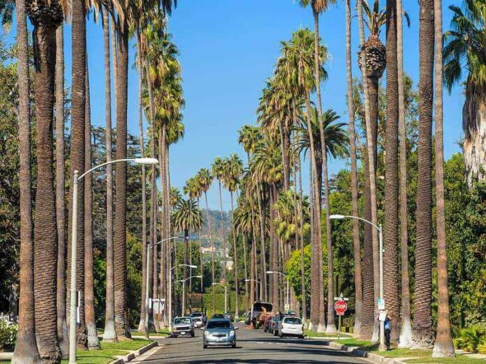 Eine Strasse mit Palmen