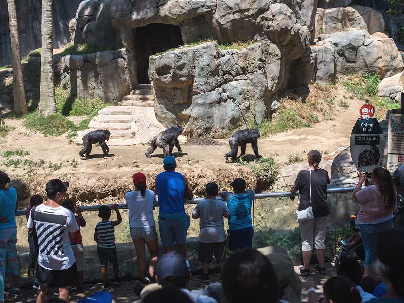 Der Zoo in Los Angeles