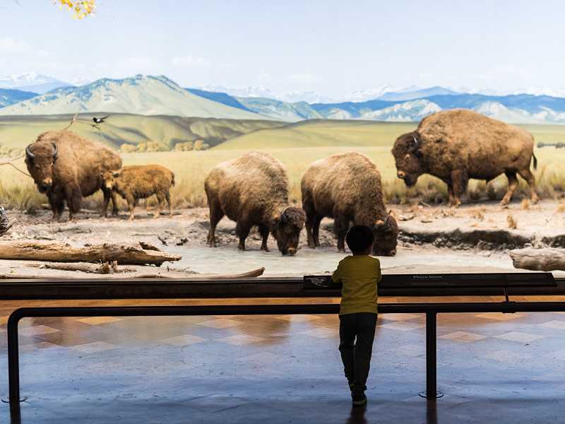 Besucher im Museum