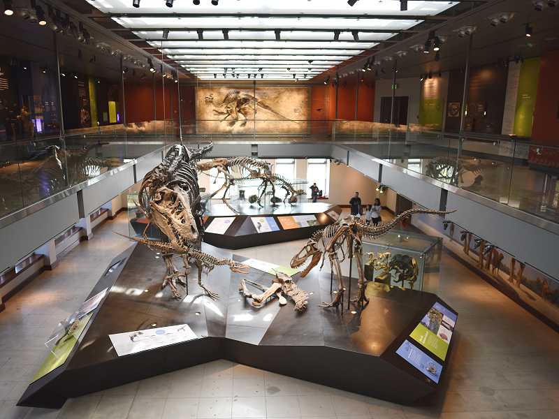 Blick in das NHM Museum