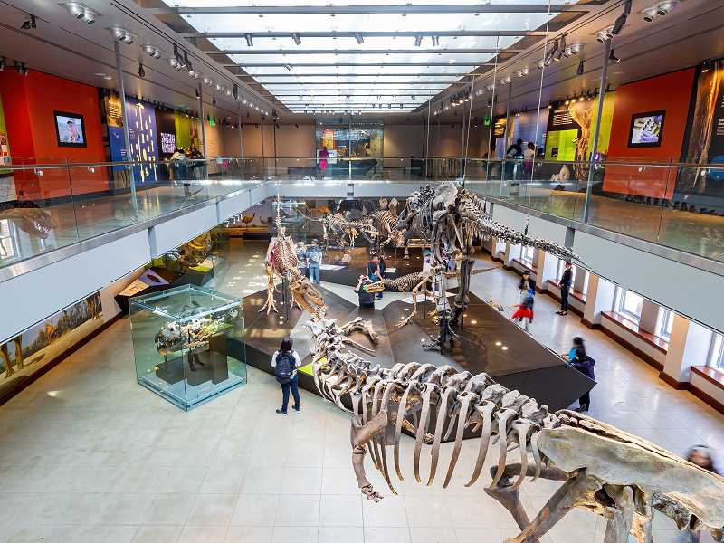 NHM Los Angeles