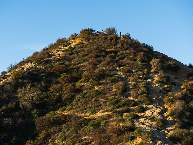 Runyon Canyon Park